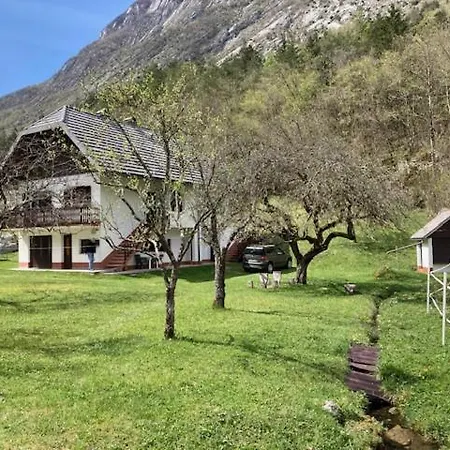 Roja House
